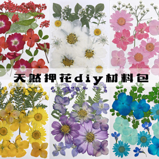 干花押花植物标本滴胶手机，壳儿童幼儿园教学书签贴画diy材料包