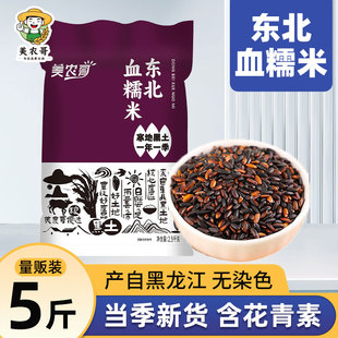 东北血糯米5斤正宗黑糯米紫米粘黏新米包粽子专用饭团奶茶店杂粮
