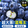 云南新鲜蓝莓8盒当季水果蓝梅鲜果高山怡颗甜莓孕妇蔓越6整箱