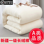 新疆棉花被芯一级长绒棉，纯棉花被子，冬被加厚保暖棉絮床垫手工