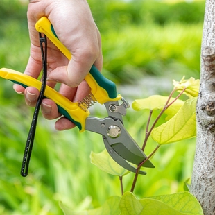 园艺剪修枝剪子树枝家用修花果树摘果工具园林强力粗枝神器