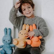 荷兰miffy米菲兔公仔玩偶抱枕，宝宝安抚布娃娃毛绒玩具新年礼物