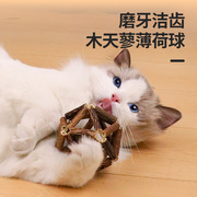 猫玩具猫薄荷球自嗨解闷小猫咪耐咬玩具逗猫棒用品木天蓼磨牙洁齿