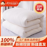 新疆棉被10斤棉花被单双人床垫棉絮纯棉被芯褥子被子加厚冬被全棉