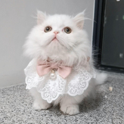宠物猫咪衣服春装夏装仙女，布偶猫夏季小猫幼猫夏天裙子装饰品装扮