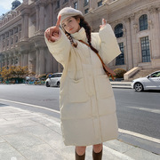 棉衣2022冬季羽绒棉立领女中长款设计感小众简约纯色棉服外套