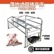 母猪落地式产床母猪产床限位拦定位拦产床保育两用产床母猪设备