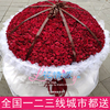 999朵玫瑰花鲜花速递北京同城，199365520红粉，玫瑰蓝色妖姬求婚