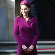 王妃同款2022秋冬气质紫红收腰压褶西装领修身百褶法式连衣裙