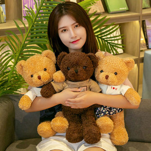泰迪熊抱抱熊熊猫小熊，公仔布娃娃毛绒玩具，小号送女友生日礼物女生