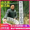 万善良(万善良)新鲜霍山产地铁皮石斛鲜条500g五年原种铁皮枫斗中药材