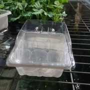 透明9孔育苗盒保湿保温穴盘三件套家庭园干净培育种子成功率高