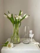 轻奢网红透明玻璃小花瓶摆件客厅插花ins风高级感简约郁金香水养