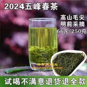 五峰毛尖2024春绿茶叶新茶明前高山富硒250g采花特级茶叶