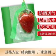 草莓套袋专用纸袋观光采摘包装袋牛皮纸防水防雾膜多功能型套袋