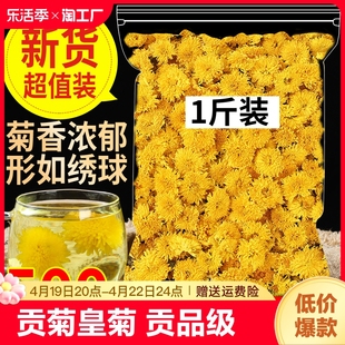 菊花茶徽州皇菊婺源500g黄山贡菊黄菊花草茶散装泡水非特级熬夜