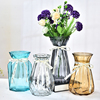 创意玻璃花瓶欧式简约水养植物，绿萝器皿客厅，摆件鲜花水培干花瓶