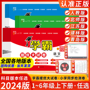 2024春经纶学霸提优大试卷2024一年级五年级二三四六年级上下册小学语文数学英语人教苏教版各地测试卷全套同步期末期中练习册江苏