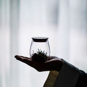 玻璃储物罐瓶子玻璃茶叶罐小透明玻璃罐便携花干果玻璃瓶罐小号
