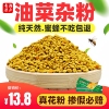 花粉养蜂喂蜂油菜杂粉青海天然蜂粮中蜂专用颗粒蜜蜂饲料蜂具