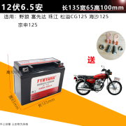 雅马哈125骑跨摩托车，电瓶12v7a9a蓄电池，助力踏板车干电池免维护