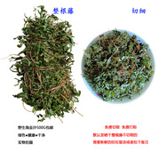 新鲜晒干货野生海金沙藤，草叶中草药材排化打石茶，500g左转藤