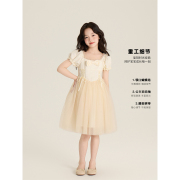 Amybaby女童连衣裙夏季2025新款设计甜美蝴蝶结气质公主风蓬蓬裙