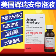 安帝洛液美国辉瑞antirobe犬猫用口炎牙龈炎牙周炎牙结石口腔溃疡