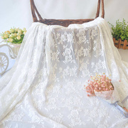 蕾丝布块蕾丝布料有弹性面料布头镂空复古柔软沙网布料蕾丝软纱桌