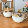 早餐燕麦杯ins风带把玻璃水杯家用大容量麦片牛奶杯带盖酸奶杯子