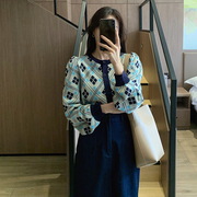 短款圆领毛衣女(毛衣女，)蓝色复古菱格开衫2023秋季韩版针织衫