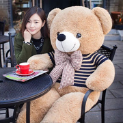 毛绒玩具泰迪熊猫公仔，布娃娃玩偶大号，韩国可爱萌送女友抱抱熊女孩