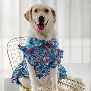 狗狗衣服大型犬夏季薄款金毛拉布拉多可爱裙子宠物狗衣服中型犬