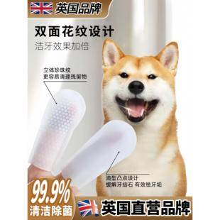 英国猫咪清洁牙齿宠物洁牙指套狗狗刷牙除口臭去牙结石湿巾牙刷