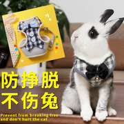 幼兔侏儒兔子专用小衣服溜兔子，牵引绳衣服宠物小兔子外出的绑绳防