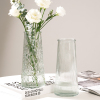 两件套ins风北欧玻璃花瓶大号透明水养富贵竹桌面客厅插花摆件