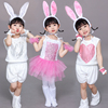 新元旦(新元旦)儿童小兔子演出服，小白兔子动物，表演服装幼儿园舞台舞蹈纱裙