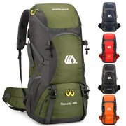 户外运动背包大容量50L登山包男女通用徒步露营包旅行双肩包透气