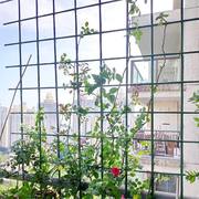 葡萄藤架子藤蔓植物爬藤架子园艺花架管花盆支撑杆黄瓜番茄固