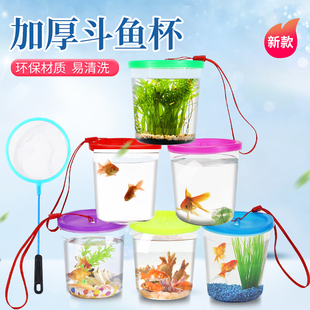 斗鱼杯手提迷你透明塑料观赏鱼缸，带盖带绳子乌龟，缸水母杯昆虫盒