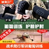 战术爬行护膝护肘训练军训用加厚内置护具护腕防护套装耐磨专业