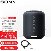 sony索尼srs-xb12蓝牙，无线音箱迷你小音箱，无线扬声器xb10升级款