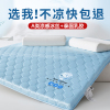 冰丝乳胶床垫家用软垫卧室学生宿舍单人褥子床褥垫租房专用海绵垫