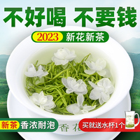 茉莉花茶2023新茶叶(新茶叶，)口粮浓香型，特级雅安花毛峰川派绿茶