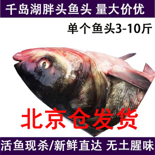 3-10斤个千岛湖大鱼头，新鲜胖头鱼头花，鲢鱼头鳙鱼鱼头泡饼