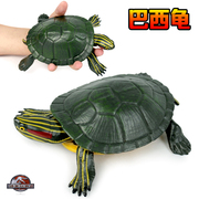 仿真乌龟巴西龟模型玩具两栖海洋动物海龟陆龟塑胶儿童认知礼物