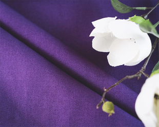 紫色纯棉餐桌布浅蓝色加厚桌布茶几盖布可时尚纯色台布