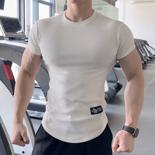 美式休闲条纹纯色短袖男士篮球T恤跑步弹力运动半袖健身训练上衣