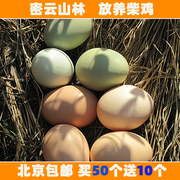 北京正宗土鸡蛋农家，散养新鲜柴鸡蛋宝宝，辅食乌鸡蛋20枚起售