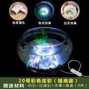 急速多功能客厅普通玻璃鱼缸摆件小型创意圆形玄关养鱼装饰水